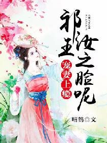 宠妻上瘾：祁王，汝之脸呢